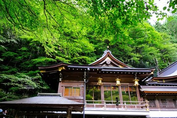 Obraz premium 日本、京都、鳥居、神社、石の階段、文化財、木造建築、古代建築、日本文化、歷史名勝、文化財、木、林、綠色、水、川、青空、写真素材 