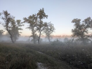 Early autumn morning with fog on the field and on the river