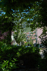 Fototapeta premium A view of Mostar, Bosnia and Herzegovina, framed by lush green trees and bushes. The background features colorful houses on a hillside under a clear blue sky.