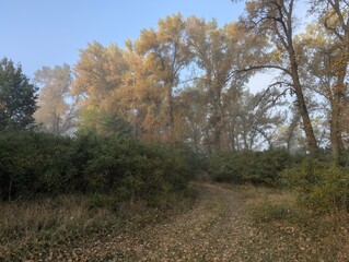 Fototapeta premium Early autumn morning with fog on the field and on the river