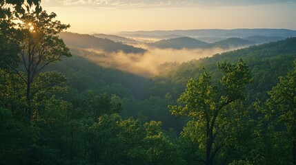 Fototapeta premium A tranquil vista of rolling hills blanketed by a soft morning mist, bathed in the golden hues of sunrise.