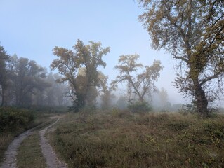 Early autumn morning with fog on the field and on the river