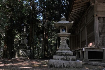 Obraz premium 日本、京都,、比叡山、花、山、絶景、景色、春の絶景、ポット、神社、寺院、木造建築旅行、風景、旅、森,、自然、空,、春、木、写真素材 
