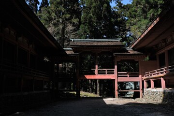 日本、京都,、比叡山、花、山、絶景、景色、春の絶景、ポット、神社、寺院、木造建築旅行、風景、旅、森,、自然、空,、春、木、写真素材	
