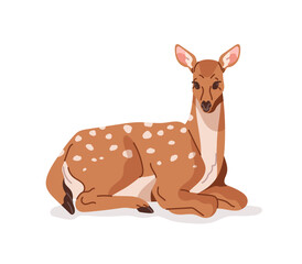 Doe of fallow deer with spotted coat is lying. Cute hind has a rest. Happy roe relaxes. Wild animal of forest. Fauna, wildlife of woodland. Flat isolated vector illustration on white background