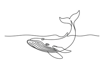 Continuous Line Drawing of a Whale | Vector Art of a Marine Animal