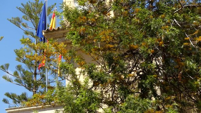 Lonja de Palma de Mallorca, Spain