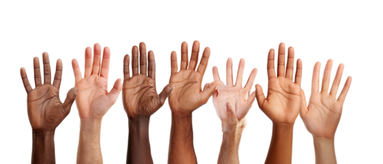 Diverse hands raised in a collective gesture