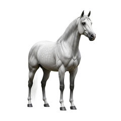 Fototapeta premium A majestic white horse standing gracefully on a clean background. isolated transparent background
