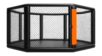 Octagonal MMA cage with chain-link fencing and padded posts for combat sports