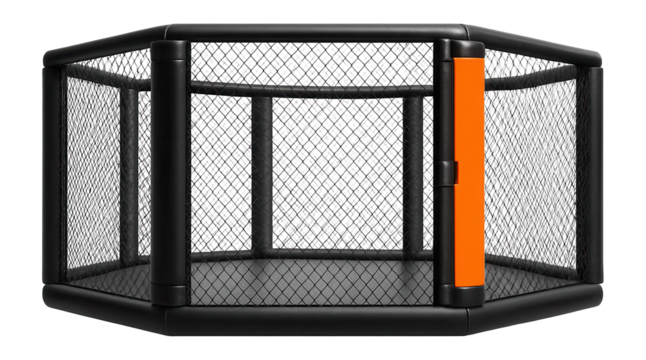 Octagonal MMA cage with chain-link fencing and padded posts for combat sports