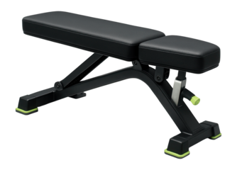 Heavy-duty bench with thick foam padding for barbell and dumbbell exercises