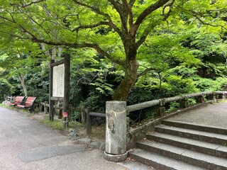 Fototapeta premium Minoh Park in Minoh, Osaka, Japan