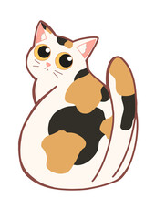 cute calico cat looking back drawing png