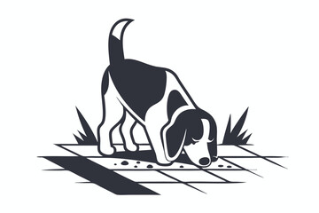 of Hunting Dog Sniffing Ground on White Background, Pavement