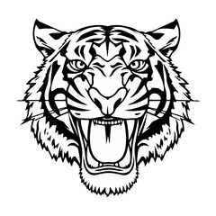 tiger head sketch vector illustration