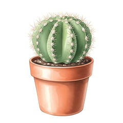 Detailed illustration of a green cactus in a terracotta pot.