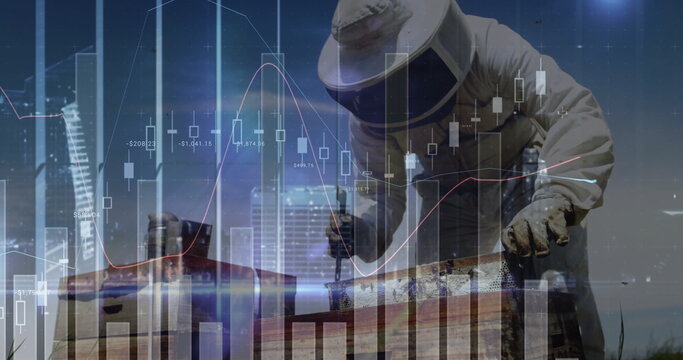 Leaning beekeeper in veiled suit using hive tool scraping hive against skyline, with chart overlay - Powered by Adobe