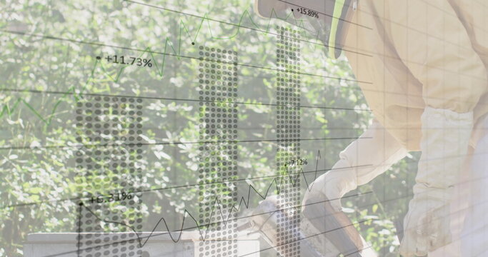 Inspecting senior beekeeper in beekeeping suit lifting honeycomb in garden with charts, copy space