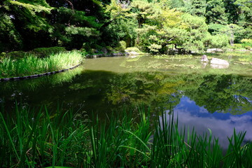 日本、京都、平安神宮、神社、庭園、文化財、木造建築、古代建築、日本文化、歷史名勝、文化財、木、綠色、青空、写真素材