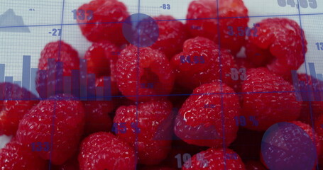 Displaying raspberries blending with translucent data overlay in digital composite, with bar charts