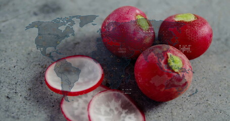 Displaying cluster of red radishes, sliced pieces on grey stone surface, digital world map overlay