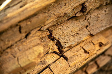 Rotting wood showing signs of decay and damage