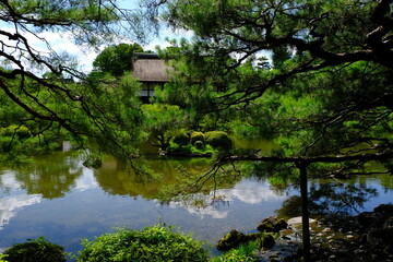 日本、京都、平安神宮、神社、庭園、文化財、木造建築、古代建築、日本文化、歷史名勝、文化財、木、綠色、青空、写真素材