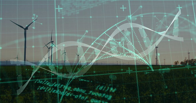 Spinning three wind turbines on grassy plain at sunrise, with DNA helix and digital overlay