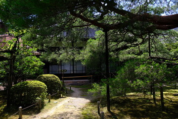 日本、京都、風鈴、平安神宮、神社、庭園、文化財、木造建築、古代建築、日本文化、歷史名勝、文化財、木、綠色、青空、写真素材