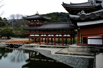 Naklejka premium 日本、京都、平等院、佛寺、寺院、文化財、木造建築、古代建築、日本文化、歷史名勝、文化財、木、綠色、青空、写真素材