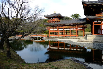 Obraz premium 日本、京都、平等院、佛寺、寺院、文化財、木造建築、古代建築、日本文化、歷史名勝、文化財、木、綠色、青空、写真素材