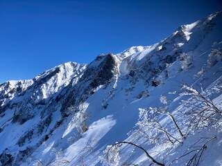 Fototapeta premium 大山