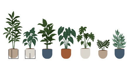 Obraz premium Modern flat design collection of indoor plants in decorative pots