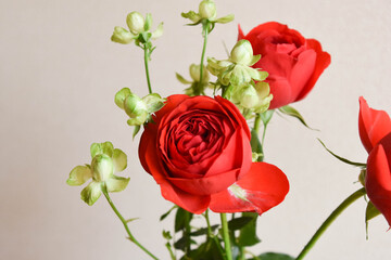 赤薔薇とエクレール