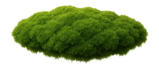 Green moss patch with dense, fine, and velvety texture on a flat surface