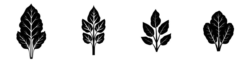 Elegant black-and-white vector illustration of minimalist leaf silhouettes showcasing various shapes and designs