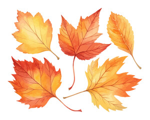 Watercolor Autumn Leaves Set in Orange and Yellow Tones
