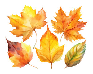 Watercolor Autumn Leaves Set in Orange and Yellow Tones