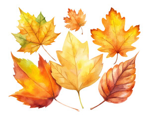 Watercolor Autumn Leaves Set in Orange and Yellow Tones