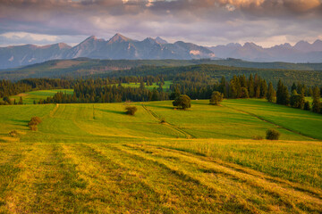 Scenic Landscape with Mountains and Fields