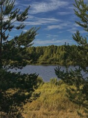 Obraz premium Tranquil Lake Surrounded by Lush Greenery