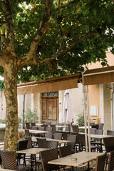 Cozy outdoor café under a plane tree in Provence, warm rustic atmosphere.