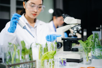 Fototapeta premium Scientist testing food samples in lab with microscope, vegetables, and meat for safety, nutrition, and biotechnology