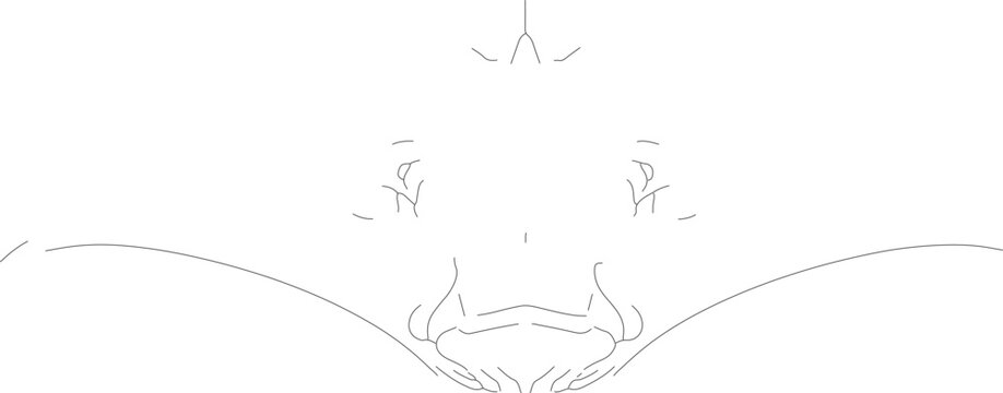 jojo (76)_vector.eps