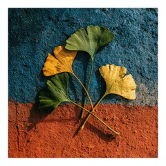 Ginkgo biloba leaves on painted concrete