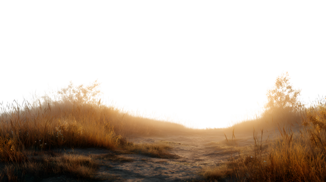 Grassy Path Edge, isolated on transparent background - Powered by Adobe