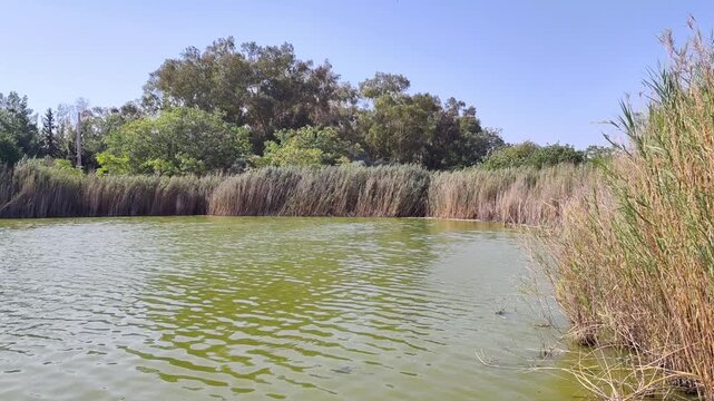 Video of Lake Acheloida, a serene wetland in Antonis Tritsis Metropolitan Park, Ilion, Attica&mdash;the largest park in Attica, devoted solely to environmental awareness and education.