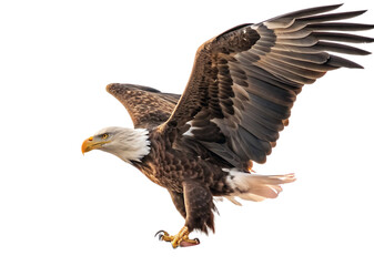 Obraz premium A bald eagle perched atop a waving american flag against a bright white sky background outdoors shot