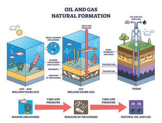 Oil and gas natural formation is shown stepwise from marine organisms to trapped resources and drilling, highlighting layers, pressure, and remains. Outline diagram © VectorMine